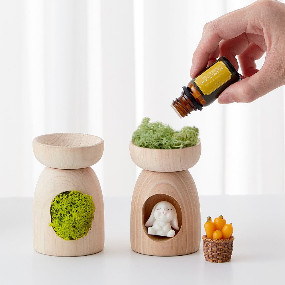 [ALLE] Candle-Free Cypress Aroma Oil Burner Set + 2x 5ml Pure Essential Oils | Includes Scandia Moss for Humidity Control & Mood Care - Made in KOREA